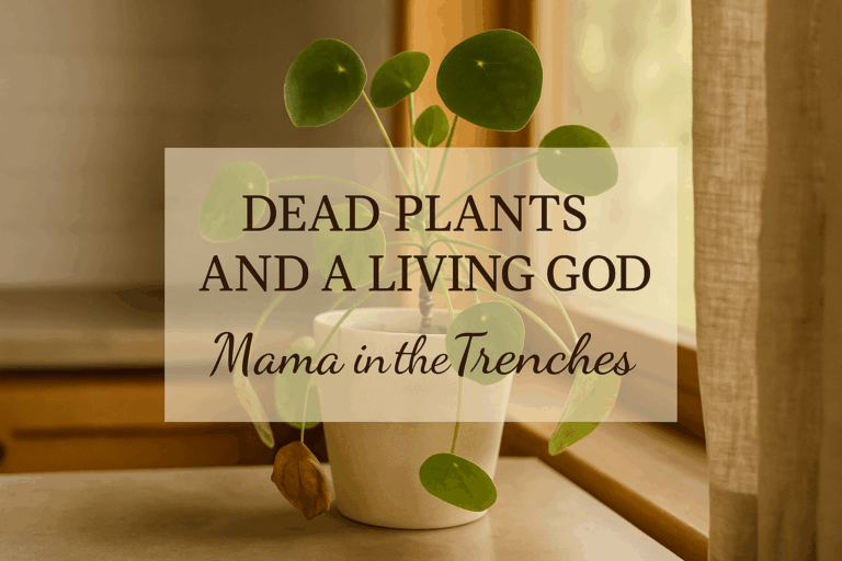 Spiritual lessons in gardening