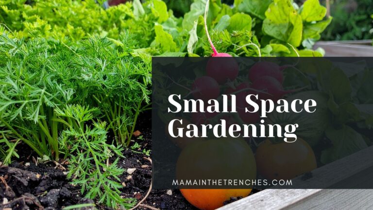 small space gardening
