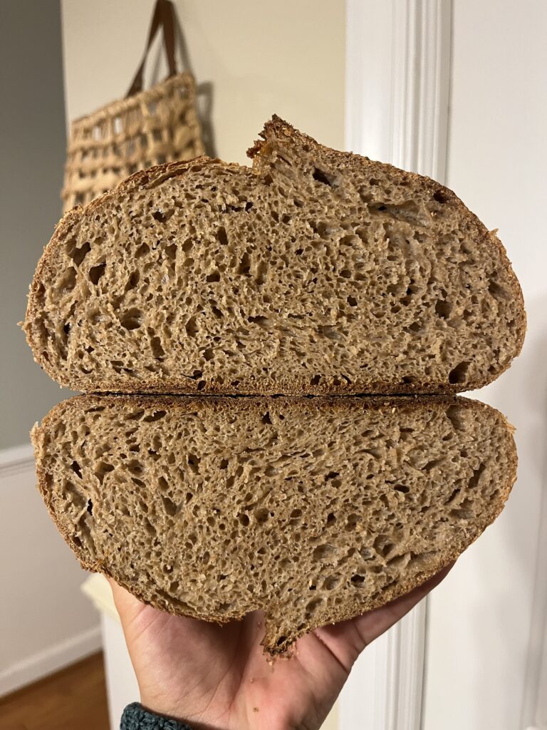 open crumb, sourdough, fresh. milled flour, artisan bread