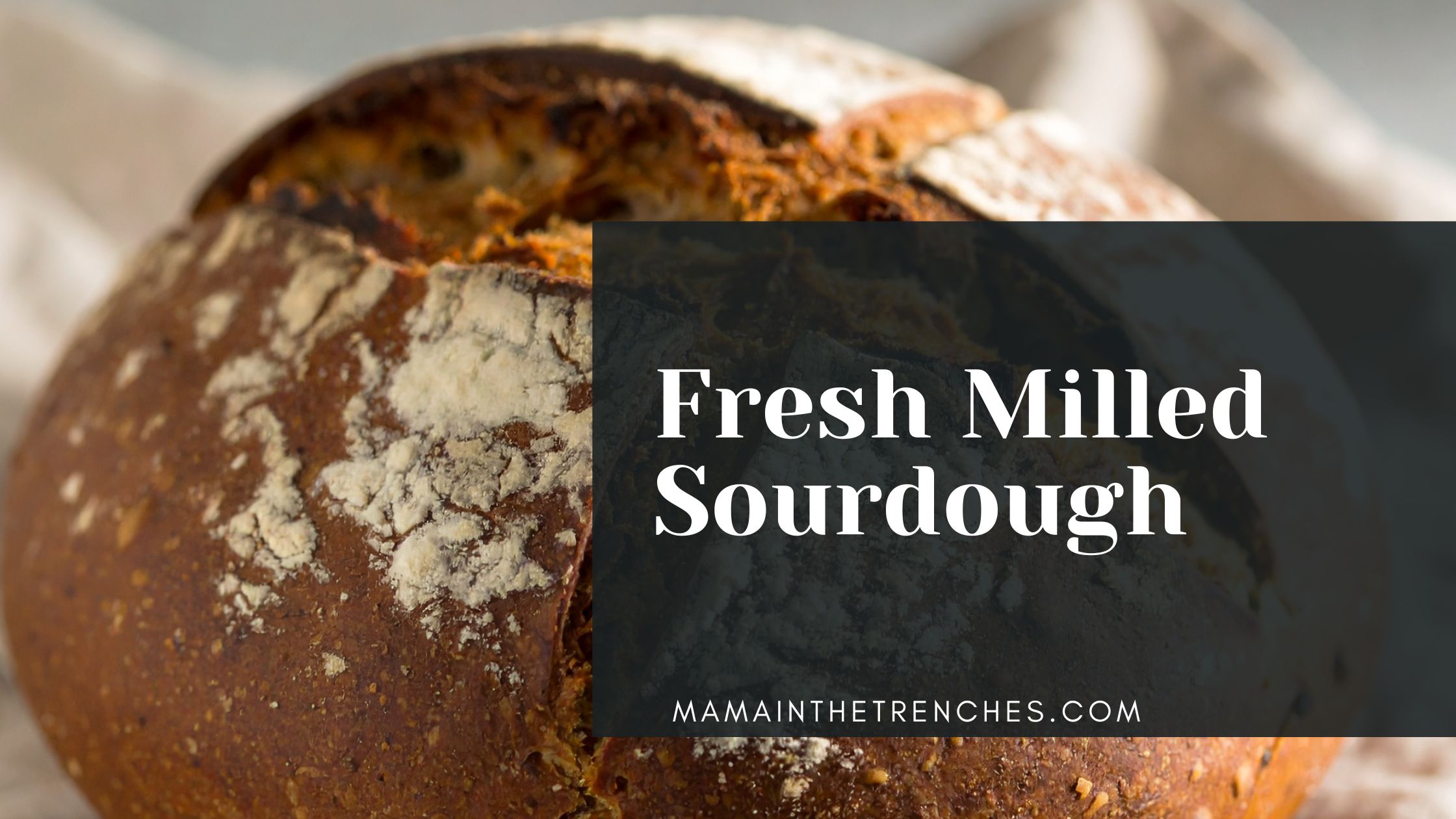 Fresh Milled flour